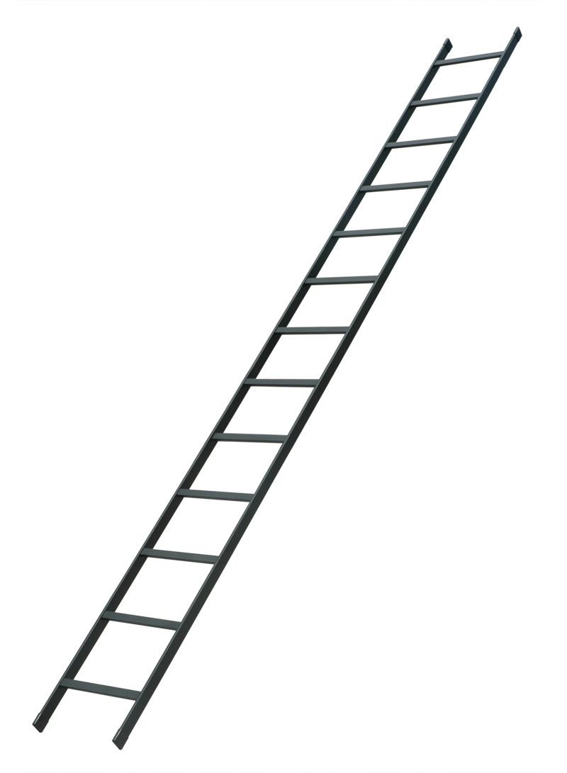 Ladder