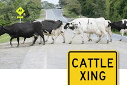 Cattle Crossing Road Sign