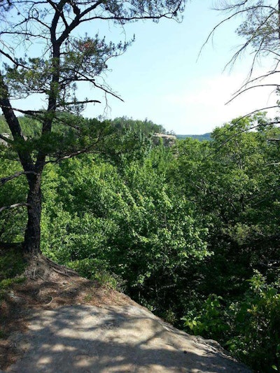 View from the picnic area high up near Natural Bridge.