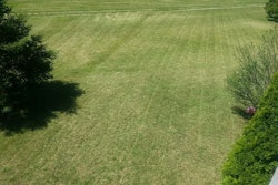 lawn