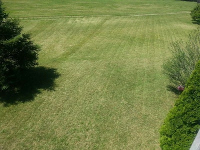 lawn