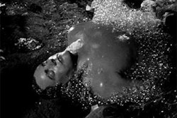 invasion-of-the-body-snatchers-body