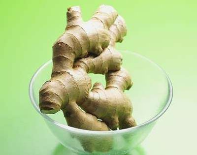 Ginger root has been used as a digestive aid for thousands of years, among its other beneficial health effects. Find a video on storage for most beneficial freshness (key is keeping it out of the light) at the bottom of this story.
