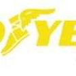 Goodyear-Smart-Fleet-logo
