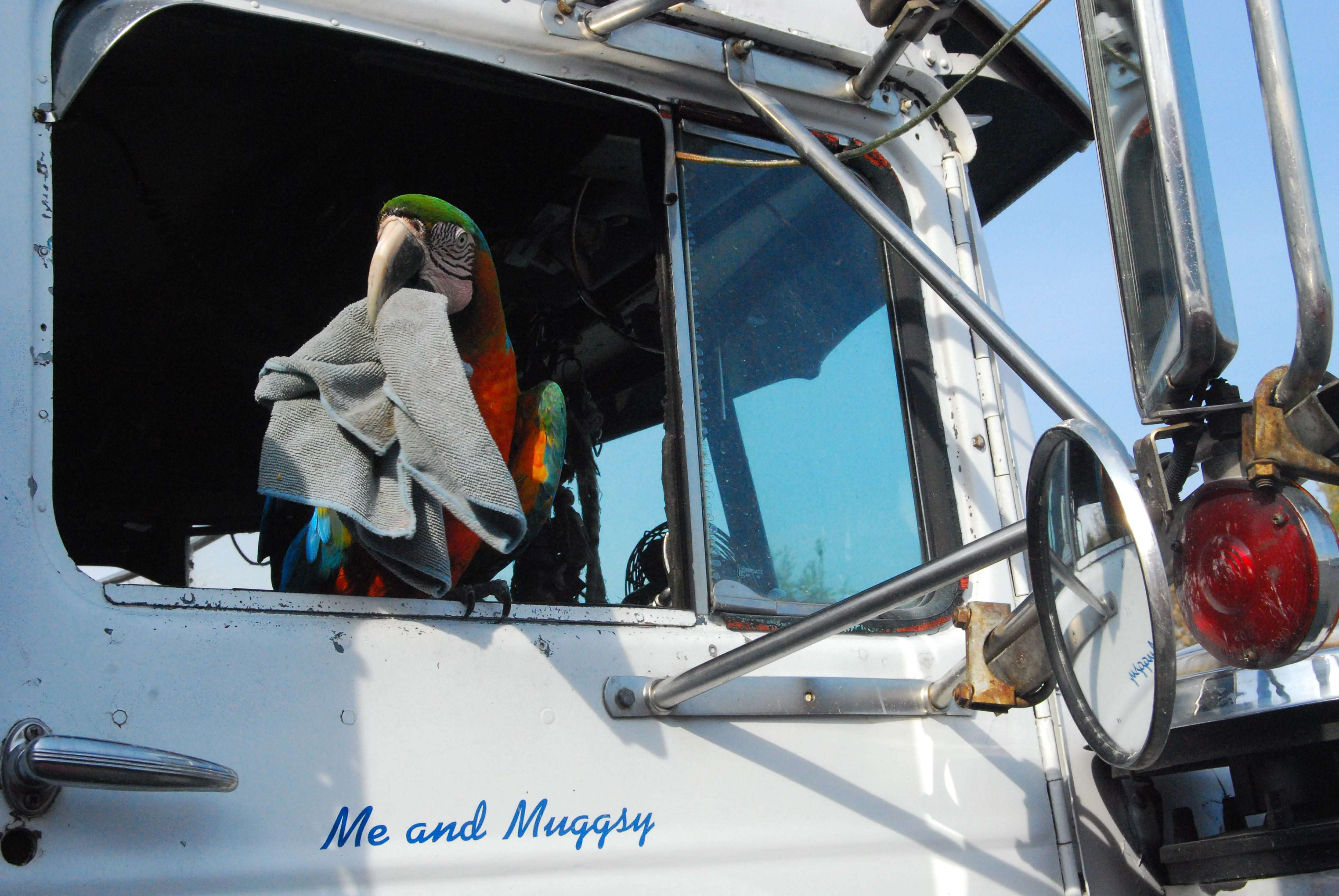 Larry Leckrone and Mugsy