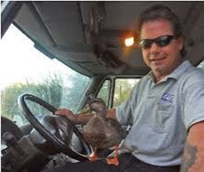Duck in the Truck