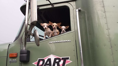 Honey, Ishbone and Jessie