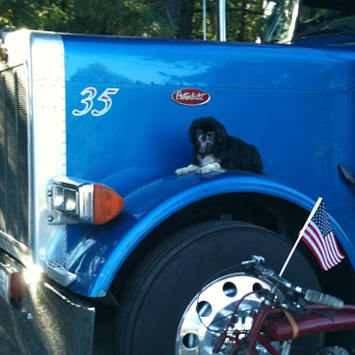 The Million Mile Monkey