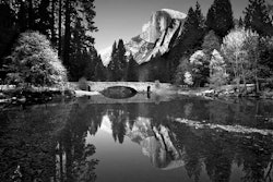 ansel-adams -- road fever