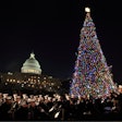 Capitol Christmas Tree lighting1 (2)