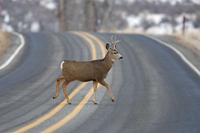 Ignore cost-cutting for too long, and you’ll end up as roadkill.