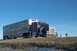 The bull wagon edit