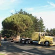 “The Presidio, San Francisco, moving live trees,” noted reader Eric Witze.