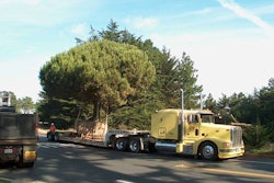 “The Presidio, San Francisco, moving live trees,” noted reader Eric Witze.