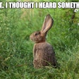 Listen closely at a truck stop diner and you’ll hear some interesting things.