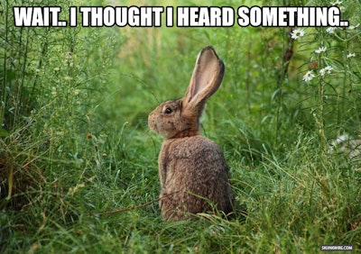 Listen closely at a truck stop diner and you’ll hear some interesting things.