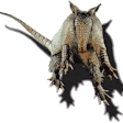 Armadillo