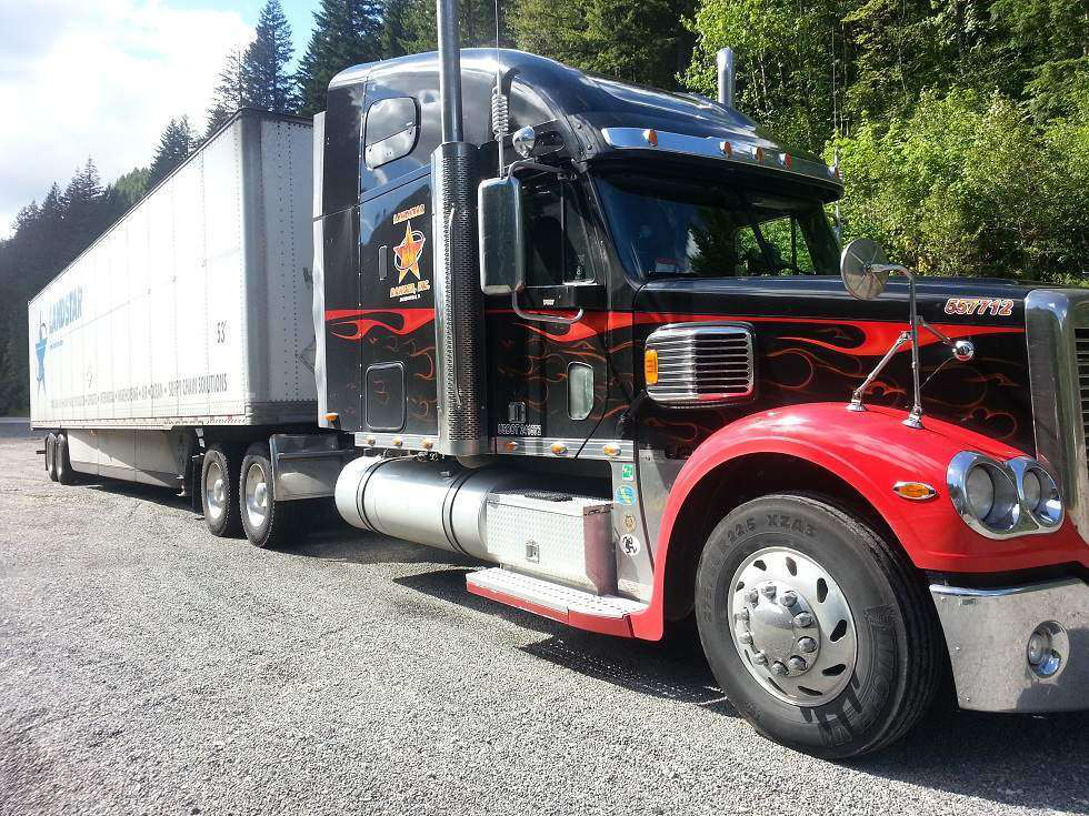 Precious van combo sized down