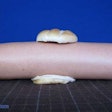 giant-hot-dog-27152-1259202998-221