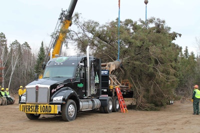 The 2014 Capitol Christmas tree being loaded onto the Kenworth T880 and Heil flatbed.