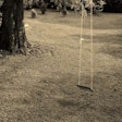 Swing