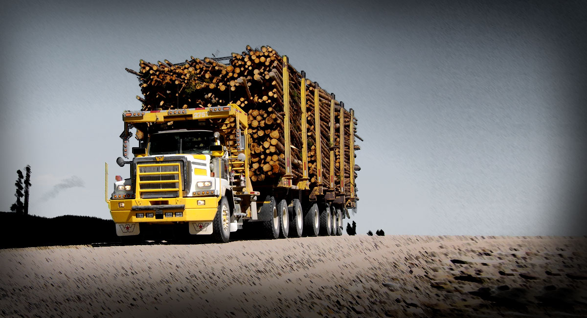 Western Star 6900 logging
