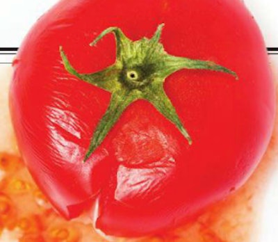 tomato