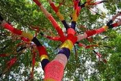 Knit knot tree, US 68, Yellow Springs, Ohio