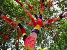 Knit knot tree, US 68, Yellow Springs, Ohio