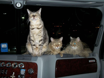 cochise-geronimo-zeus