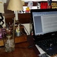 You may not want to take grown-up advice from someone with a rubber gorilla on their desk.