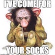 socks