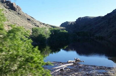 Highway scenery out the passenger window