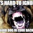 rabid dog meme