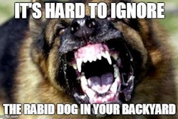rabid dog meme