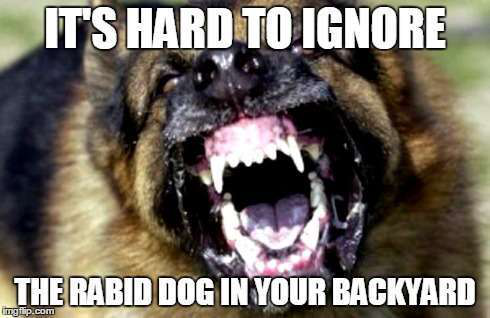 rabid dog meme