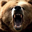 Bear scary