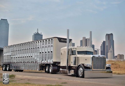 Phil Miller, 2010 Peterbilt 389 and Wilson livestock | 2015 National Champion, Working Combo