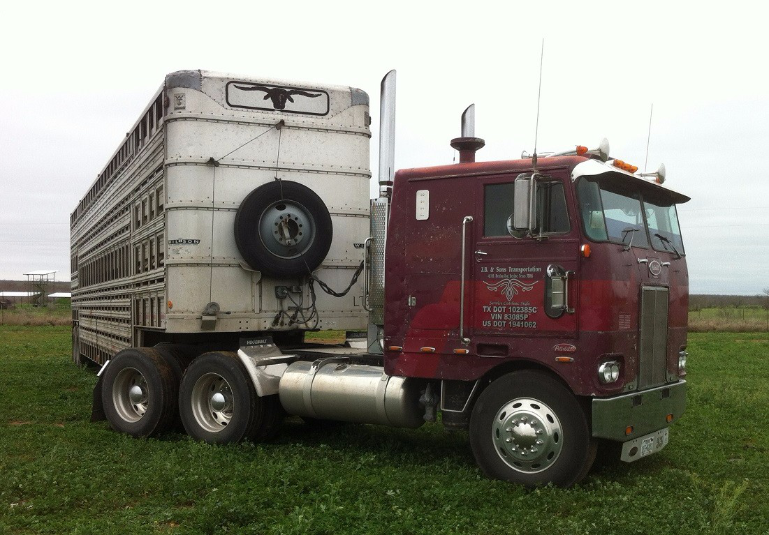 The 1976 Peterbilt was 'three years old when I first drove it for the original owner,' Beadle says. Then, 'in 1989, I bought the truck from Rush Enterprises in San Antonio and the cattle trailer from the man who is the original owner of the truck. I started out hauling cattle exclusively.'