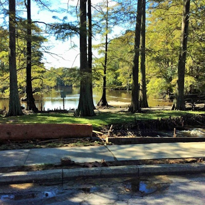Shown here is Swan Lake in Sumter, S.C., whose bridge and dam on West Liberty street were damaged in the flooding, Ardis notes. The site is home of the “world-famous” Iris Gardens, he adds.