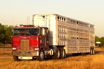 The cattle trailer is a 1977 Wilson Stocker Feeder.