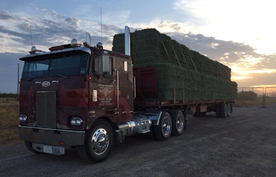 The Trailmobile flatbed in the pictures here is 'two months older than my truck,' says Beadle, 'built in March of 1976.' The truck was built in May the same year. In addition to the flat, Beadle adds he also uses dry van trailers for 'a friend of mine hauling square-bale hay to feed stores in our area.'