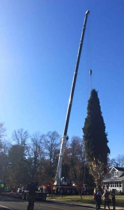 Rockefeller Center tree 2