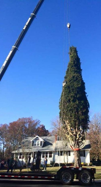 Rockefeller Center tree