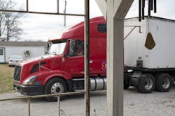 PETS-LLC-Volvo-by-Tamara-Reynolds