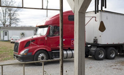 PETS-LLC-Volvo-by-Tamara-Reynolds