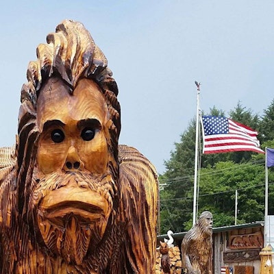 My only personal Bigfoot sighting