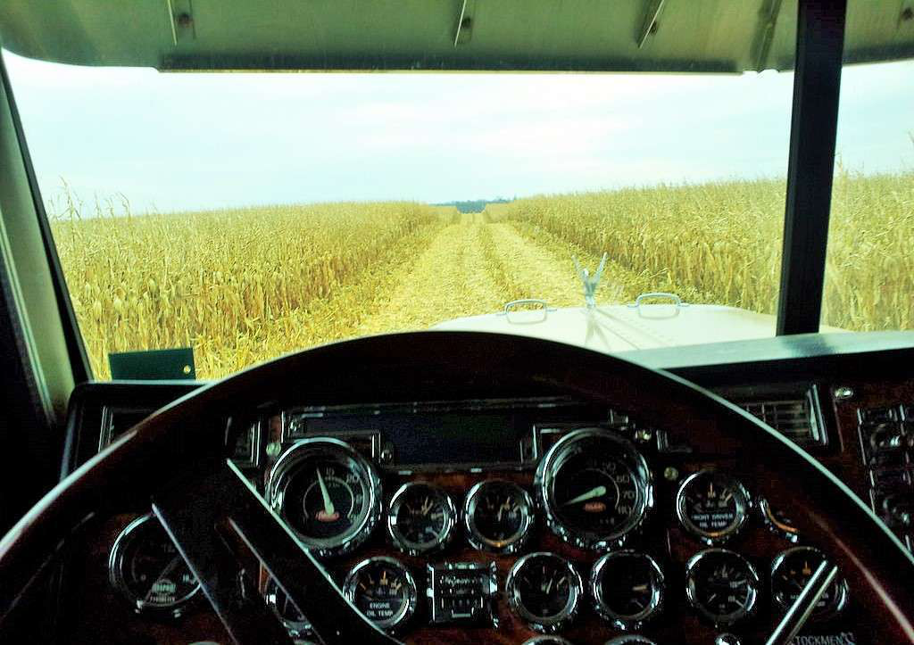 Harvest-King-by-Richard-King