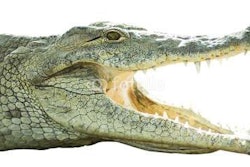 “Get in my belly, monkey.”