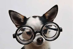 “Did you guys see the size of those chickens?”